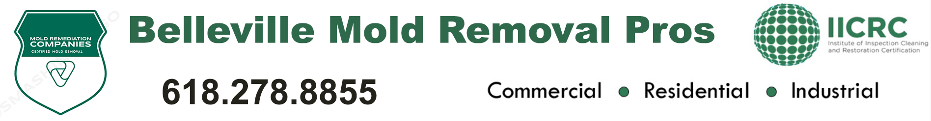 Belleville Mold Removal Pros